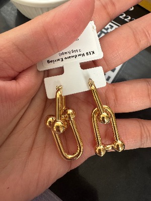 K18 Large Hardware Earring