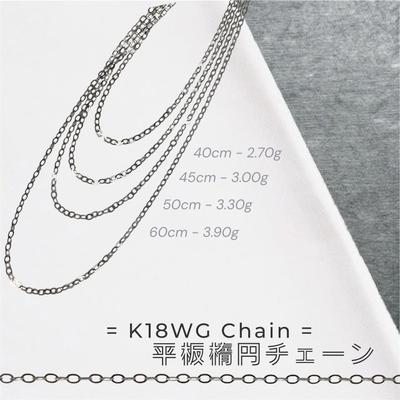 K18 White Gold Chain