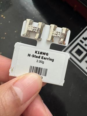H-Stud Earrings